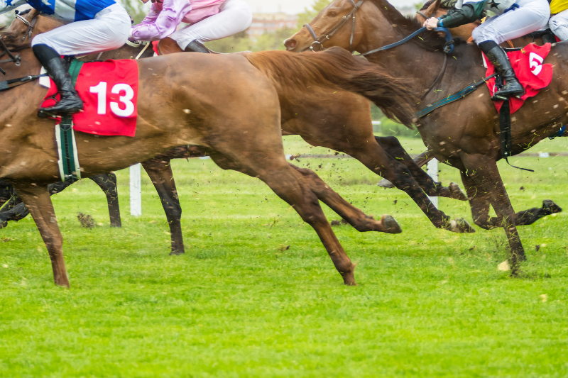 Tune Into Homeownership: How the Upcoming Kentucky Derby Can Teach First-Time Buyers About Racing to the Finish Line